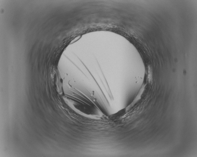 X0000066081492200604071718