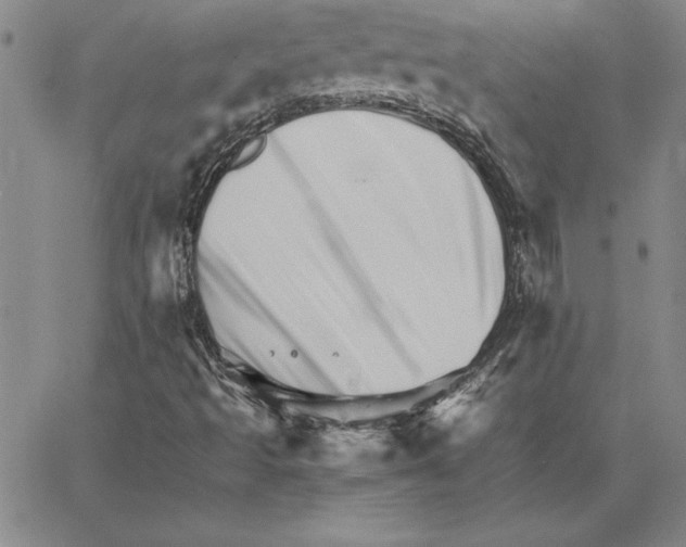 X0000066081493200604071718