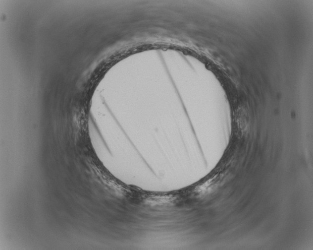 X0000066081495200604071718