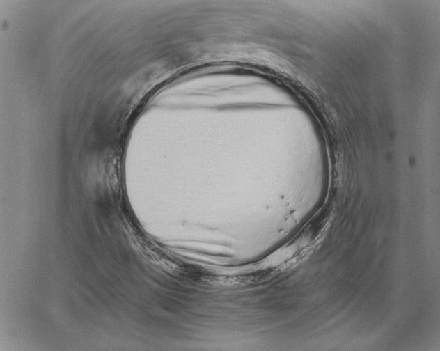 X0000066081497200604071719