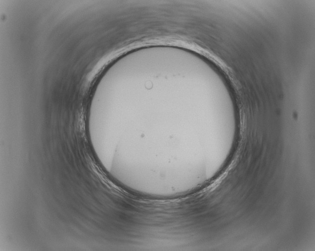 X0000066081498200604071719