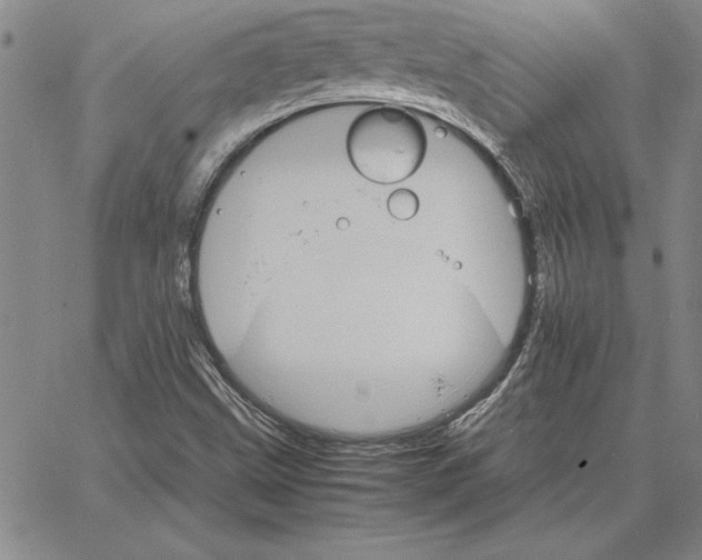 X0000066081499200604071719