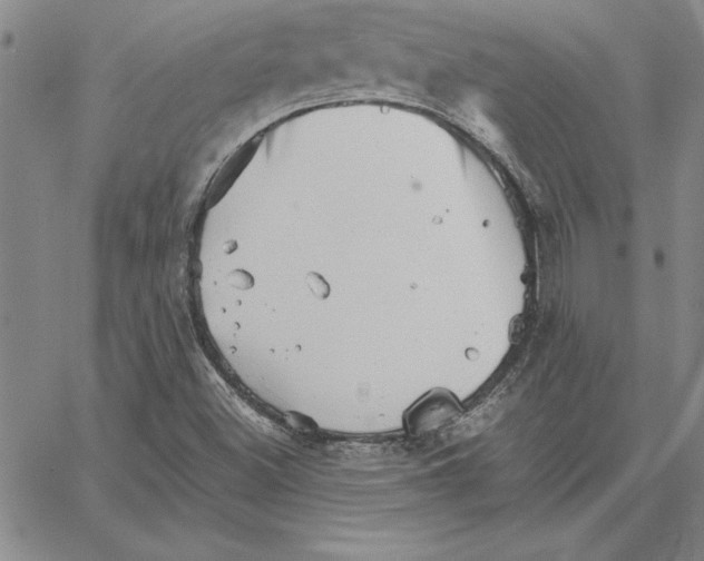 X0000066081500200604071719