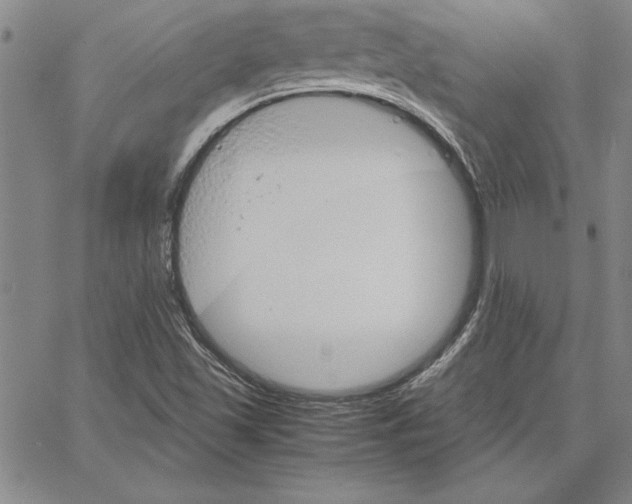 X0000066081501200604071719