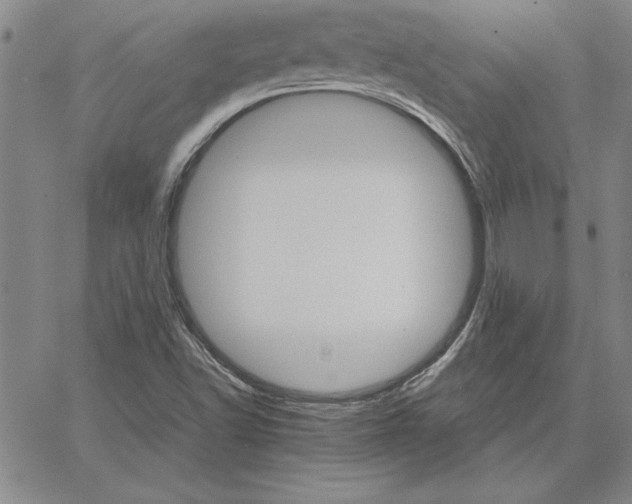 X0000066081502200604071719