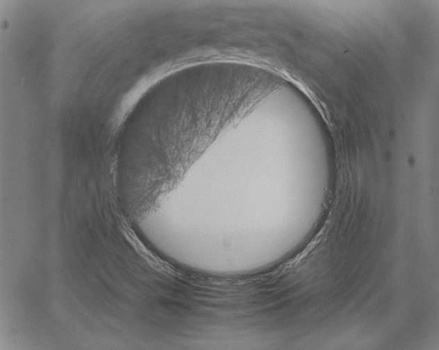 X0000066081503200604071719