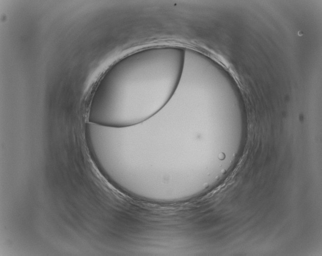 X0000066081504200604071719