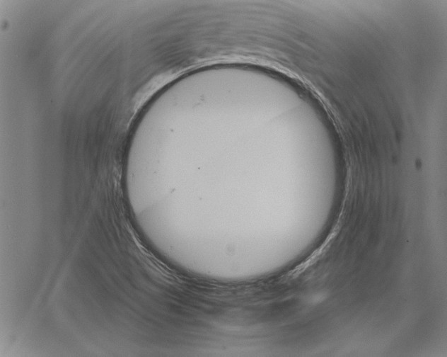 X0000066081505200604071719