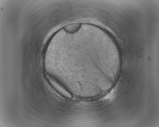 X0000066081506200604071719