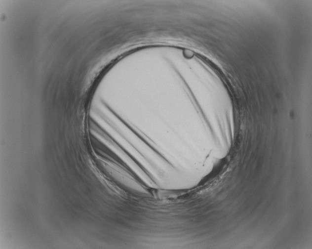 X0000066081507200604071719