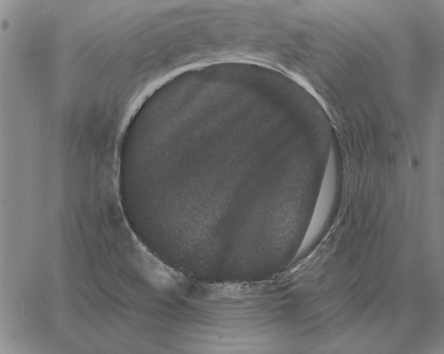 X0000066081508200604071719