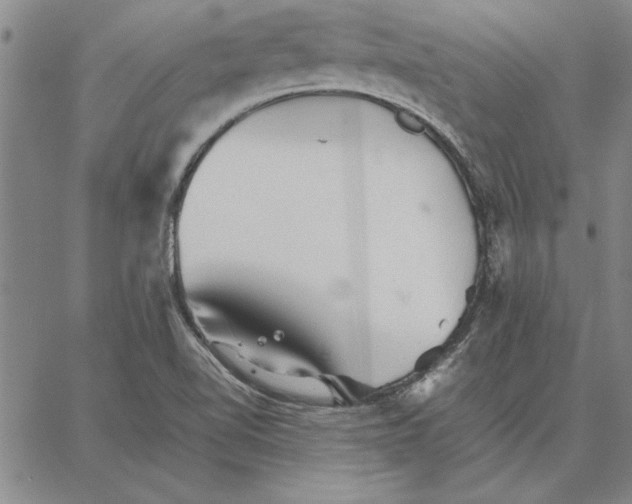 X0000066081510200604071719