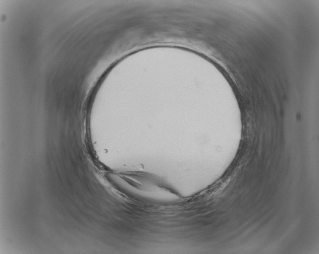 X0000066081511200604071719