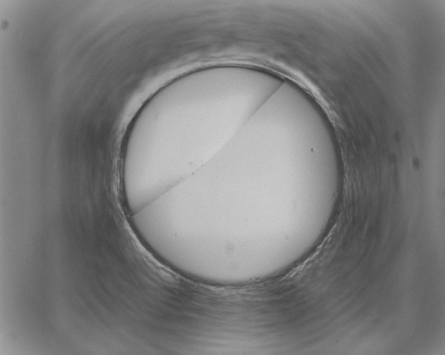 X0000066081512200604071719