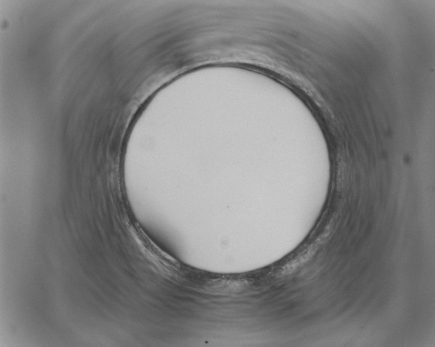 X0000066081513200604071719