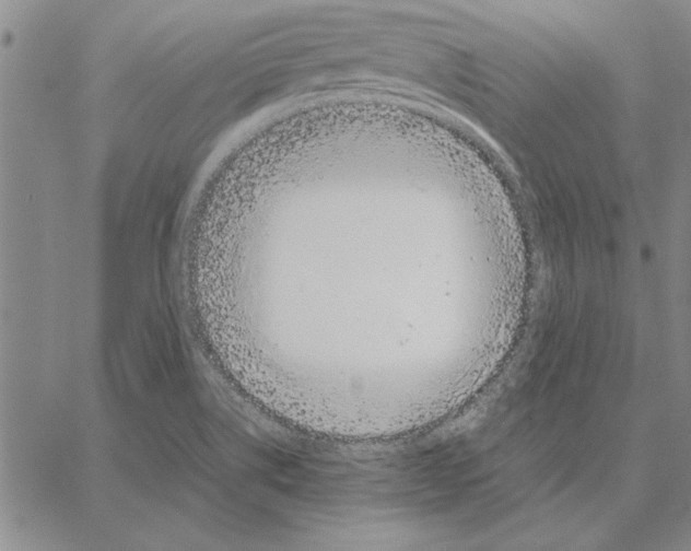 X0000066081514200604071719