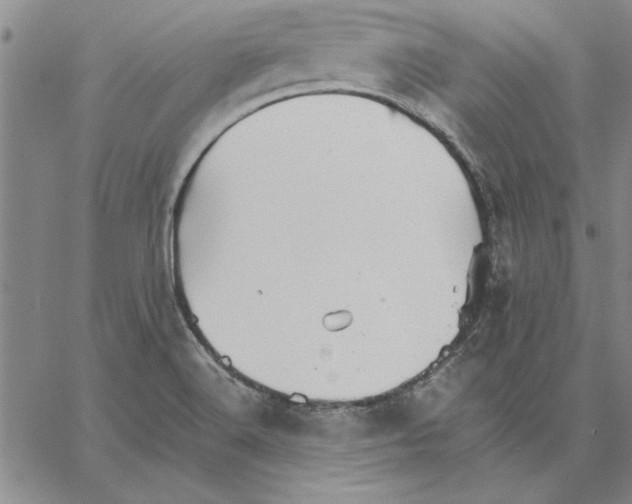 X0000066081516200604071719