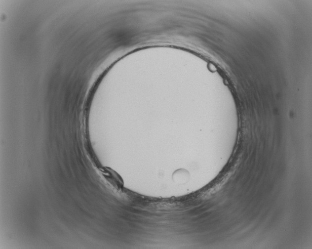 X0000066081517200604071719