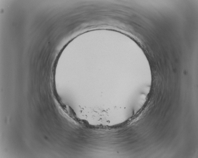 X0000066081518200604071719