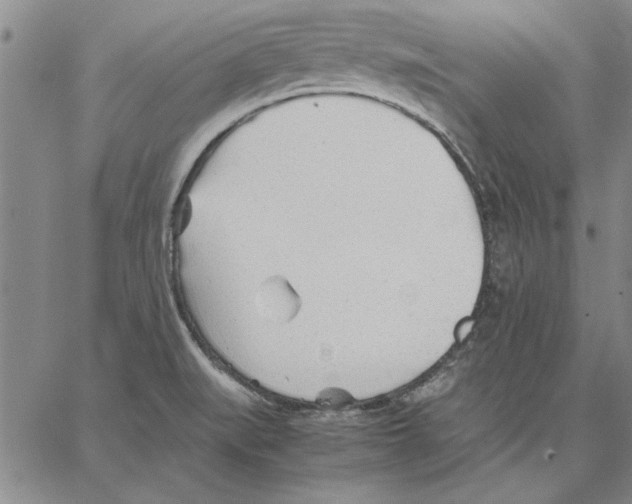 X0000066081519200604071719