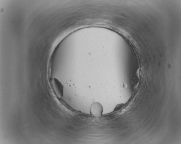 X0000066081520200604071719