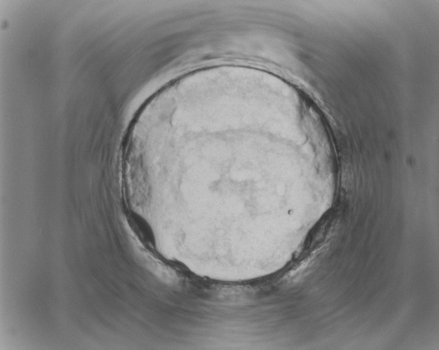 X0000066081522200604071719