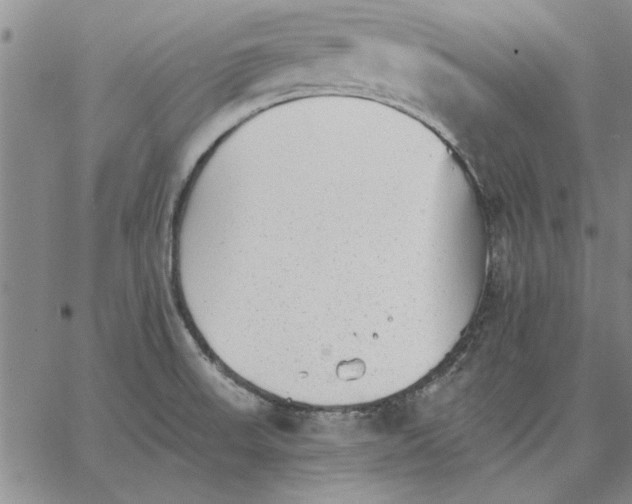 X0000066081523200604071719