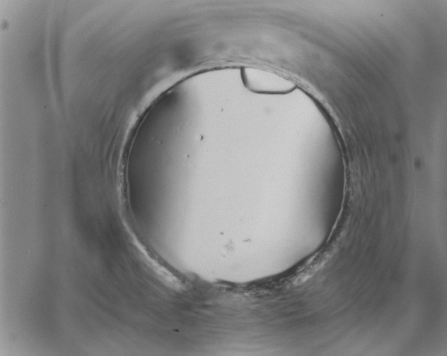 X0000066081525200604071719