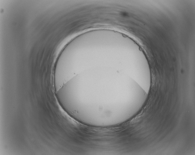 X0000066081527200604071719