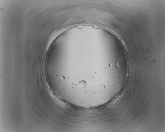 X0000066081530200604071719