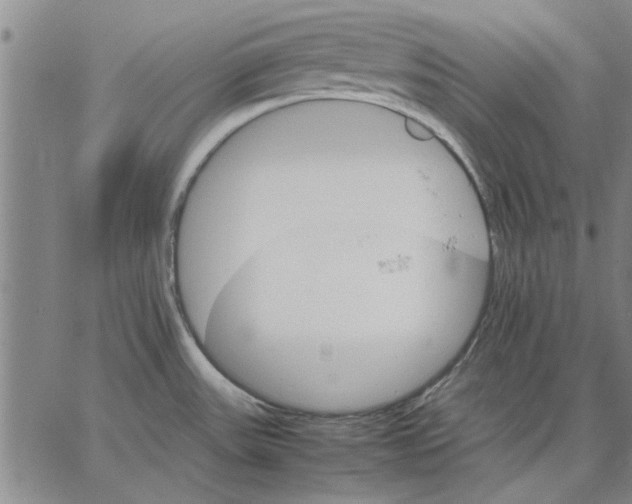 X0000066081531200604071719