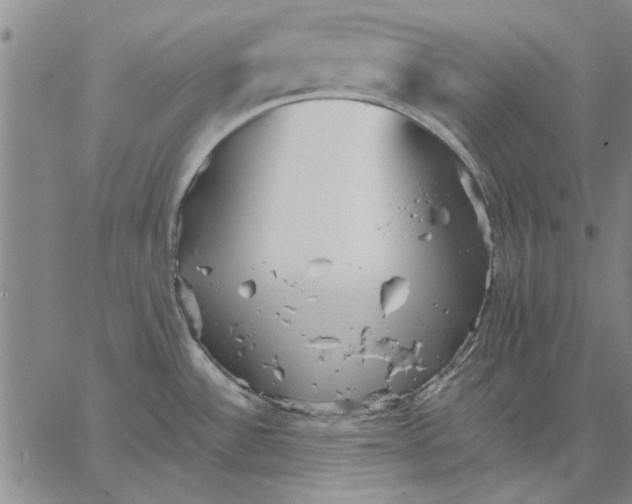 X0000066081532200604071719