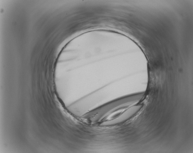 X0000066081534200604071719