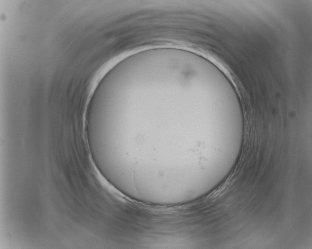 X0000066081535200604071719