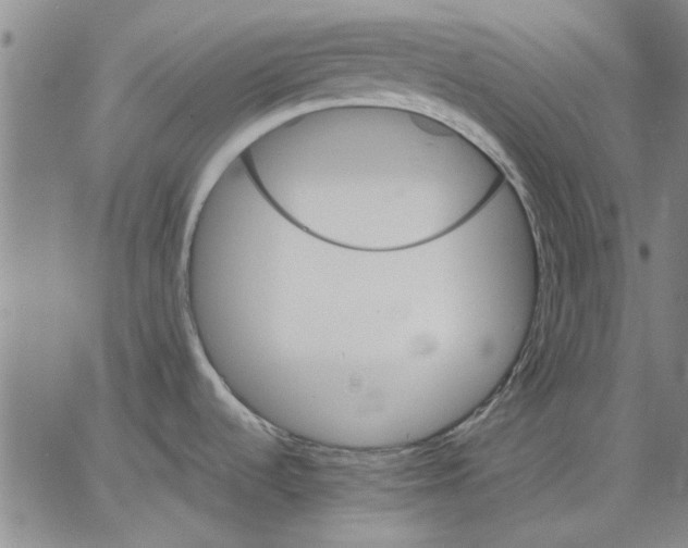 X0000066081536200604071719