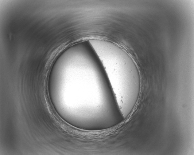 X0000066090001200603101015