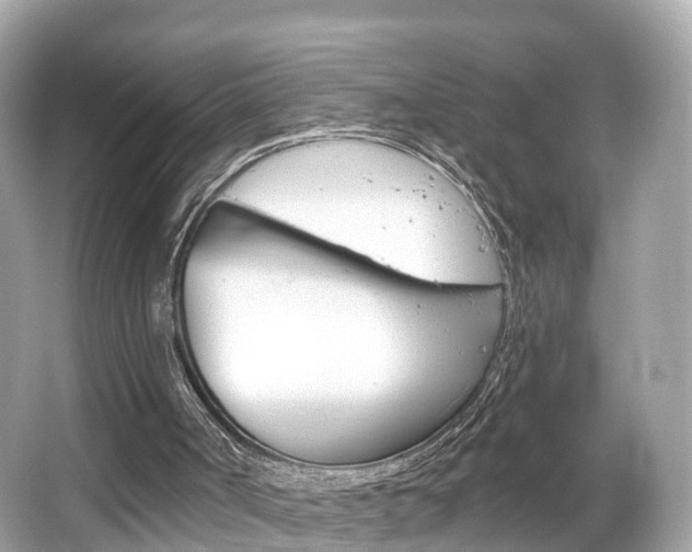 X0000066090002200603101015