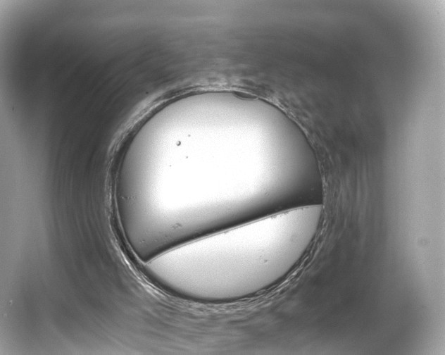 X0000066090005200603101015