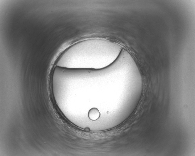 X0000066090006200603101015