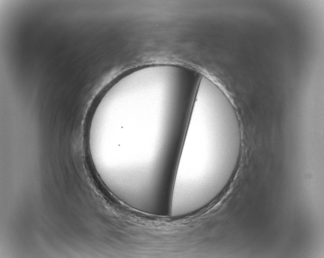 X0000066090008200603101015