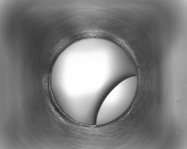 X0000066090010200603101015