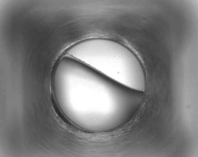 X0000066090011200603101015