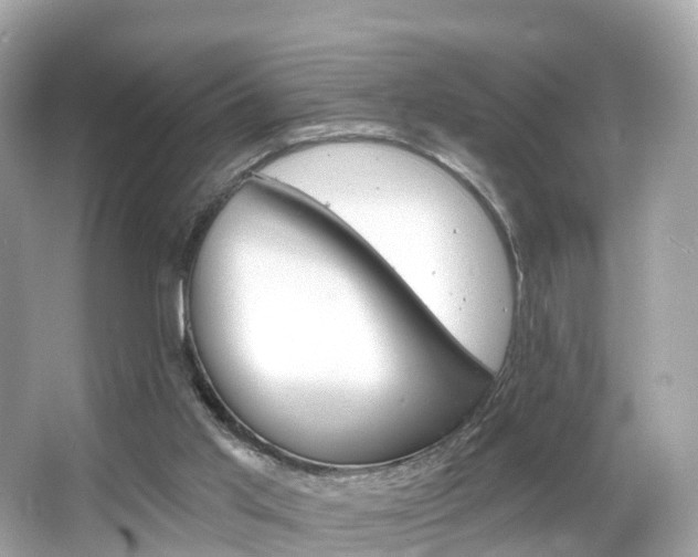 X0000066090013200603101015