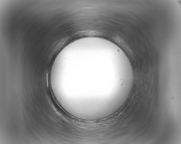 X0000066090014200603101015