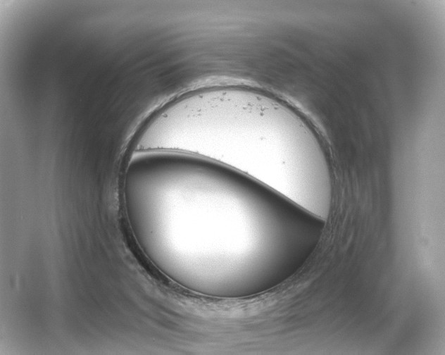 X0000066090015200603101015