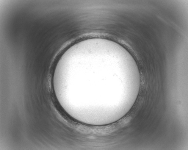 X0000066090016200603101015