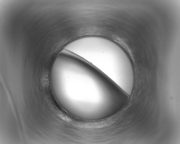 X0000066090017200603101015