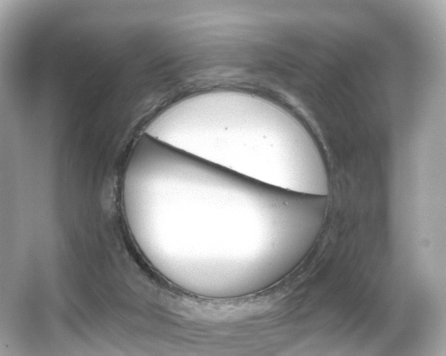 X0000066090018200603101015