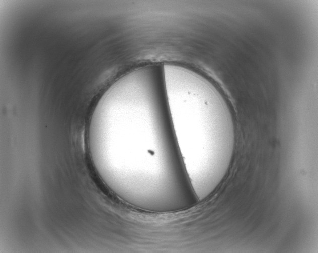 X0000066090019200603101015