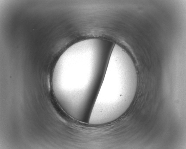 X0000066090020200603101015